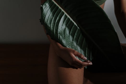 Zlepšete Vzduch v Bytě: Rostliny jako Přirozené Zvlhčovače!