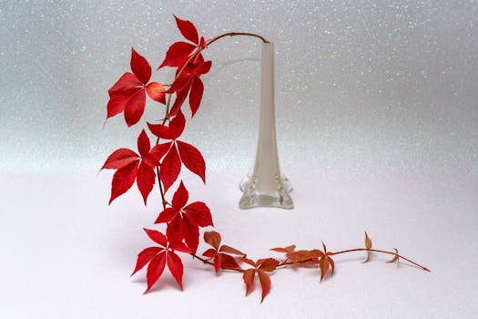 Jak Rostliny Tlumí Hluk v Domovech: Estetika a Funkčnost