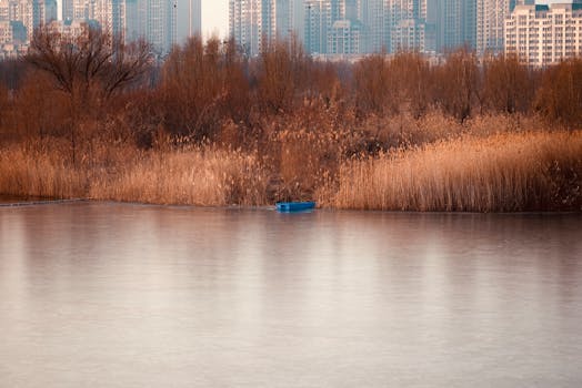 Nejlepší rostliny pro suché podmínky: Málo vody, hodně krásy!