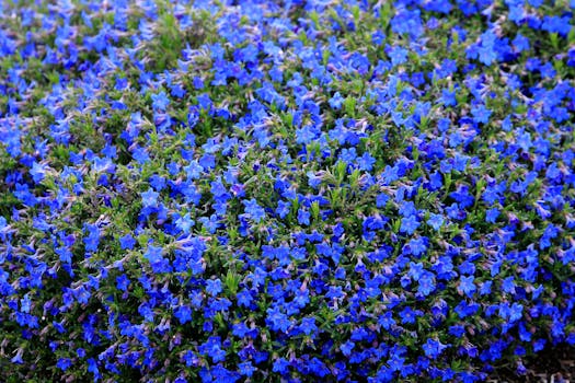 Pěstování rostlin na balkoně: Tipy pro maximální úrodu a krásu