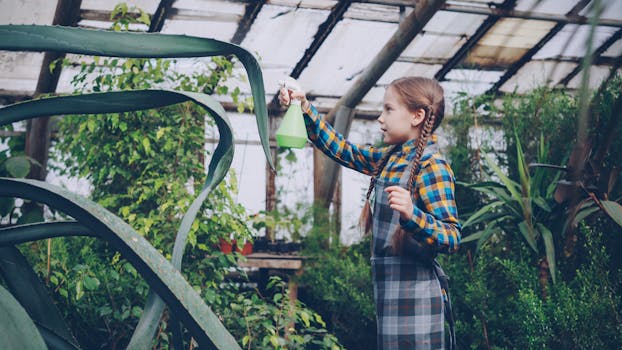 Udržujte své pokojové rostliny živé a zdravé i v zimě: Efektivní tipy