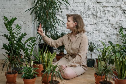 Nejlepší rostliny pro začátečníky v indoor zahradničení
